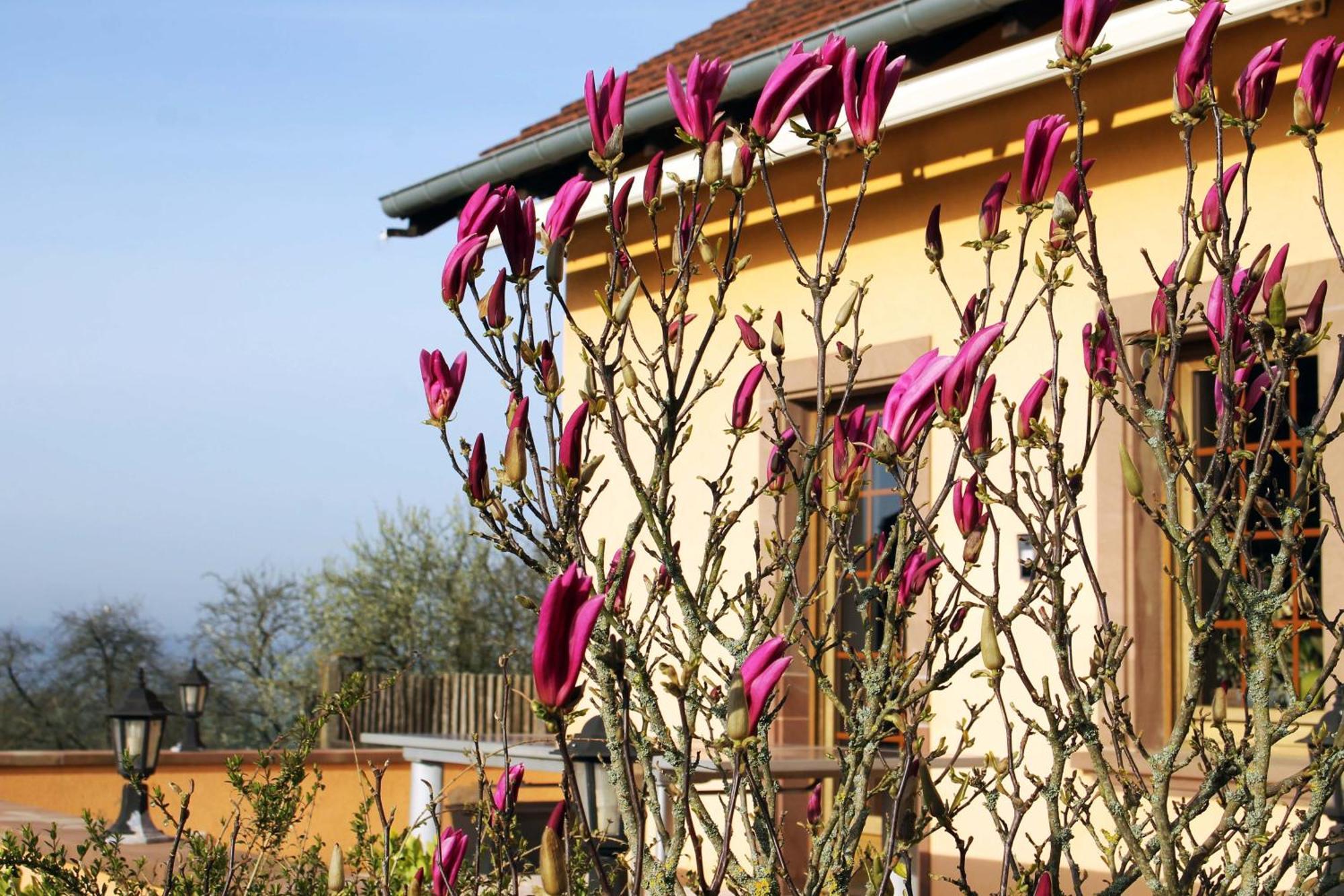 Maison Villabella Butten Esterno foto